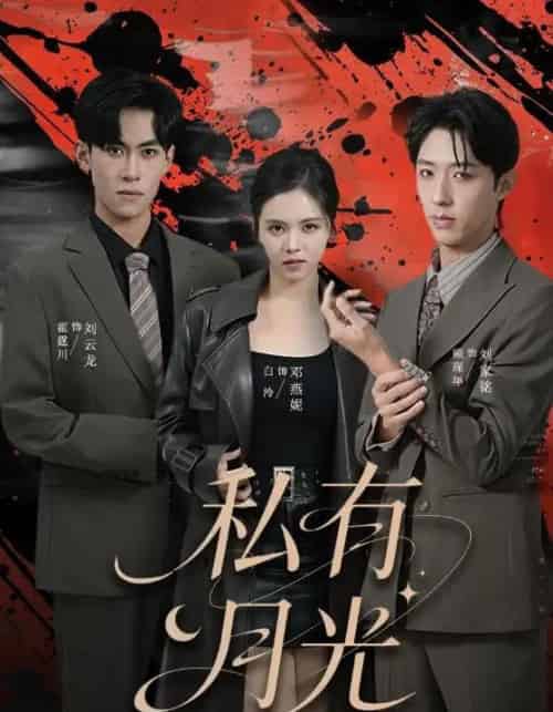 私有月光(78集全)邓燕妮&刘云龙-搜外项目网