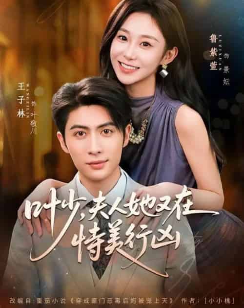 叶少，夫人她又在恃美行凶（72集全）王子林＆鲁紫萱-搜外项目网