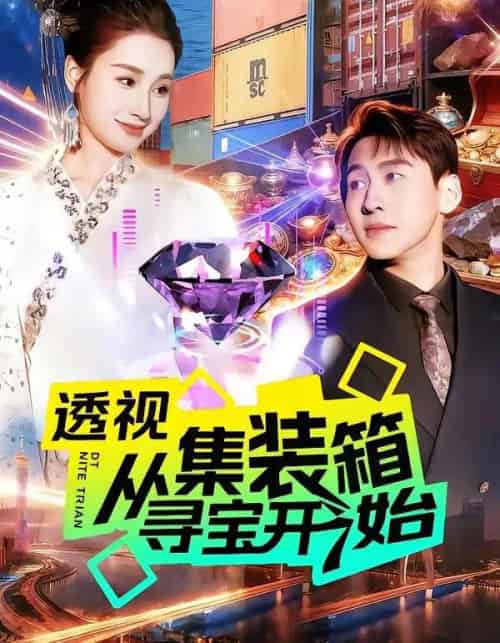 透视从集装箱寻宝开始(117集全)理艺如&杜远航-搜外项目网