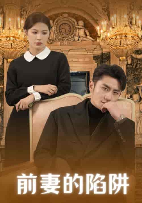 前妻的陷阱（19集）许淮安＆姜瑶-搜外项目网