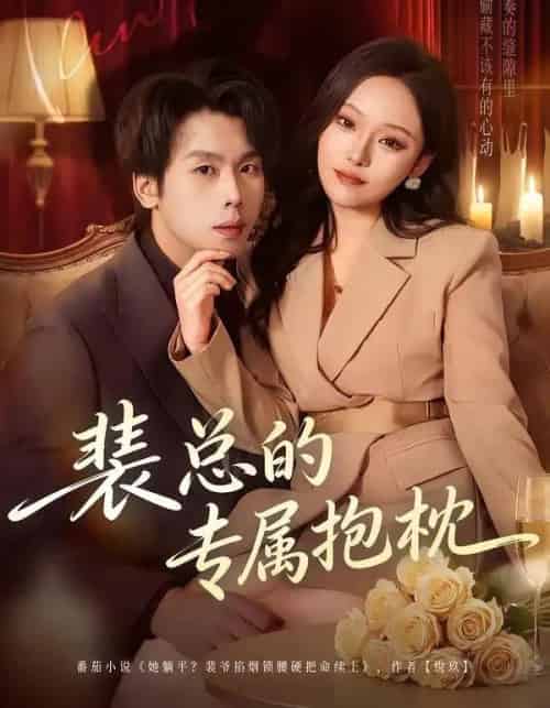 裴总的专属抱枕（78集全）艾江山＆橘子-搜外项目网