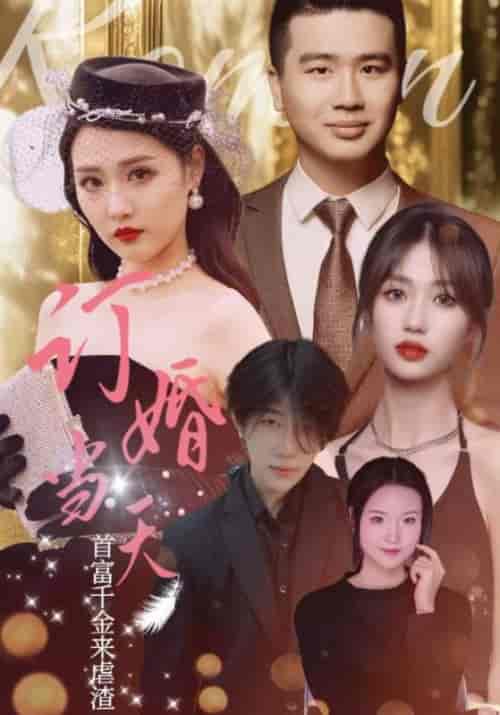 订婚当天富豪千金来虐渣（30集全）夏怀安＆李佳怡-搜外项目网