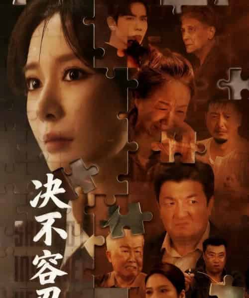 决不容忍＆以身入局的她（70集全）马星烁＆王小橙-搜外项目网