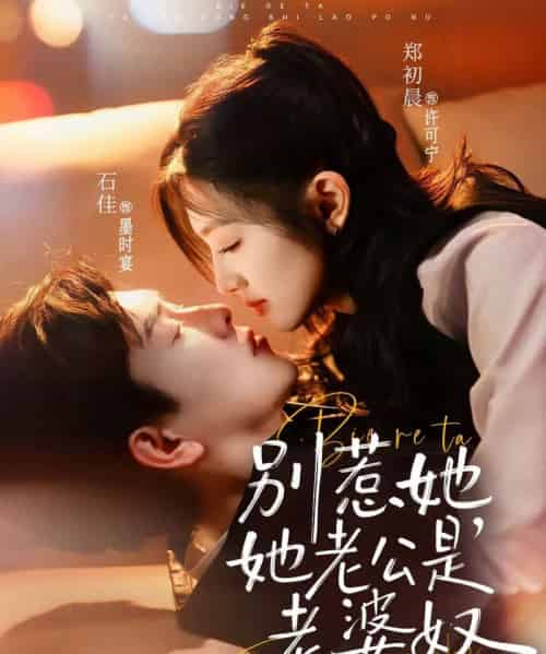 别惹她，她老公是老婆奴（76集全）郑初晨＆石佳-搜外项目网