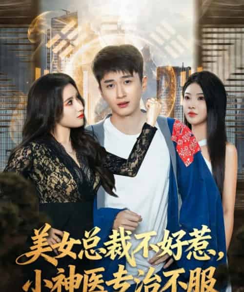 美女总裁不好惹，小神医专治不服（80集全）陈彦霖＆金瞳-搜外项目网