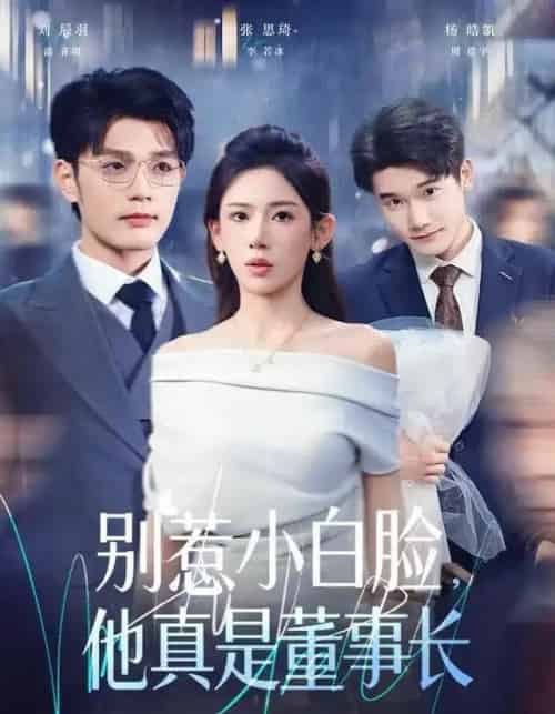 别惹小白脸，他真是董事长（68集全）张思琦＆刘宸羽-搜外项目网