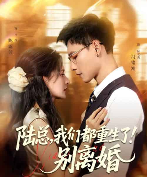 陆总我们都重生了别离婚（79集）冯铭潮＆陈露茜-搜外项目网