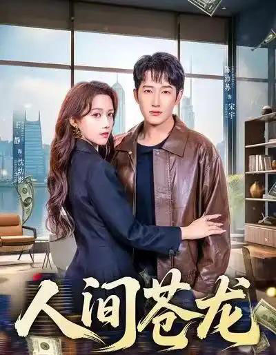 人间苍龙（60集全）王静＆陈沛苏-搜外项目网