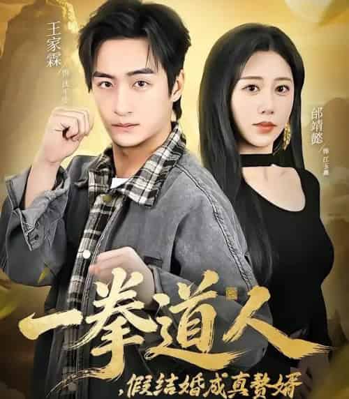 一拳道人,假结婚成真赘婿(61集全)邰靖懿&王祉溢-搜外项目网