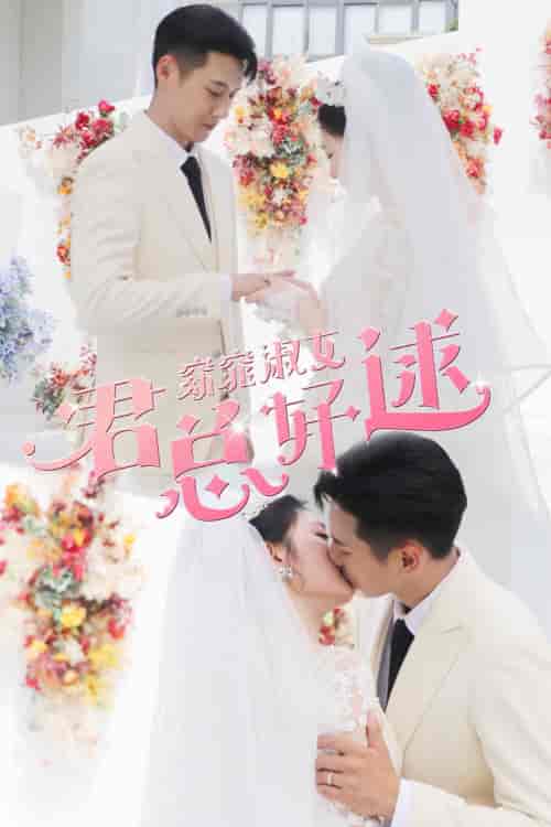 窈窕淑女君总好逑(85集)潘欣懿-搜外项目网