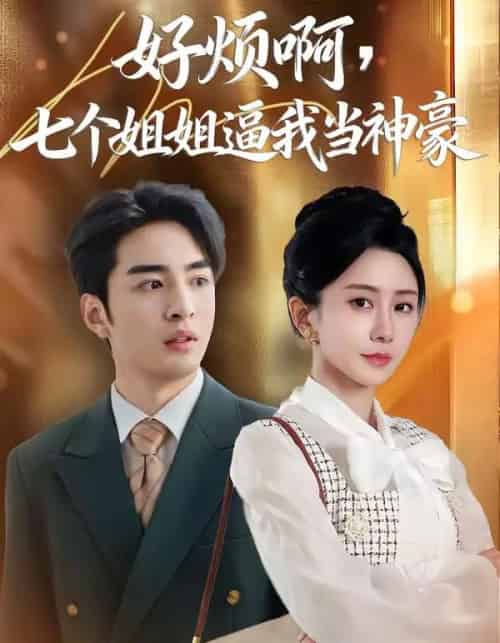 好烦啊，七个姐姐逼我当神豪（80集全）李启歌＆鹿菲儿-搜外项目网