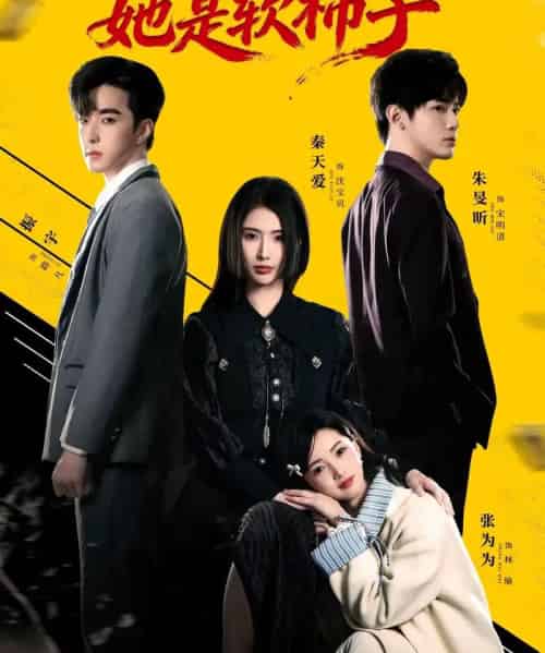 假千金她是软柿子(72集全)朱旻昕&秦天爱-搜外项目网