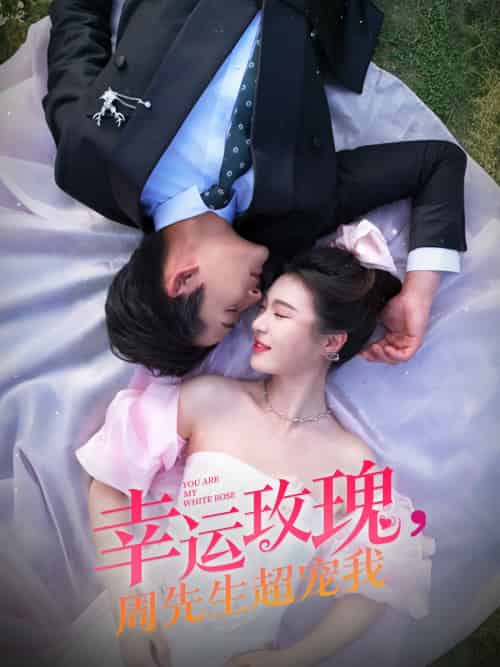 幸运玫瑰，周先生超宠我（74集）张旋＆郑晨雨-搜外项目网