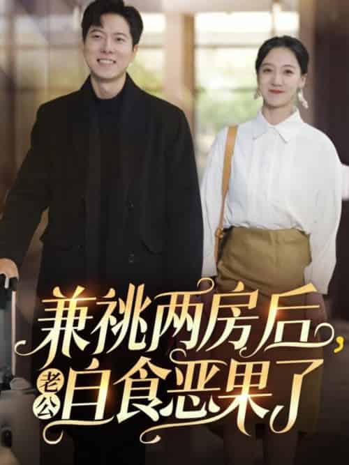 兼祧两房后老公自食恶果了（31集）赵保健＆吴昊-搜外项目网