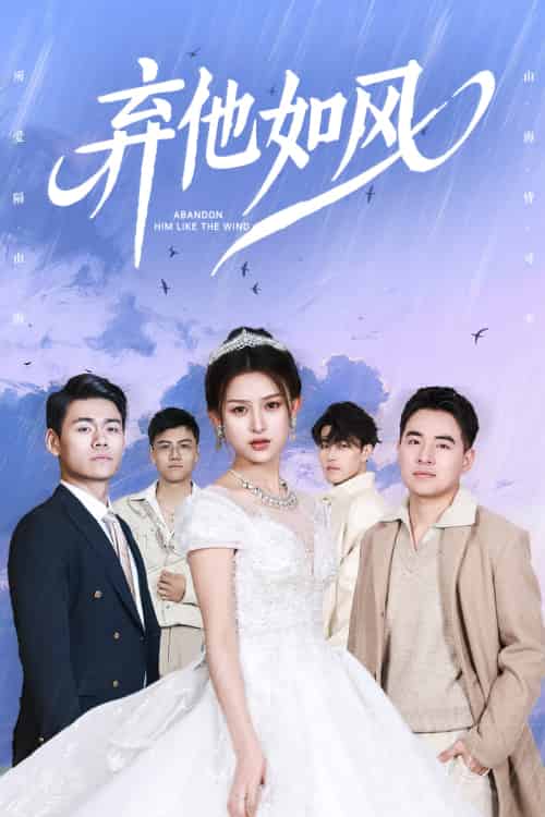 弃他如风(53集)杨晰茹&张立超-搜外项目网