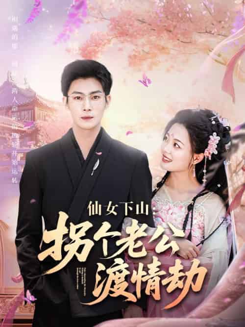 仙女下山拐个老公渡情劫（70集）张培宝＆丁紫含-搜外项目网