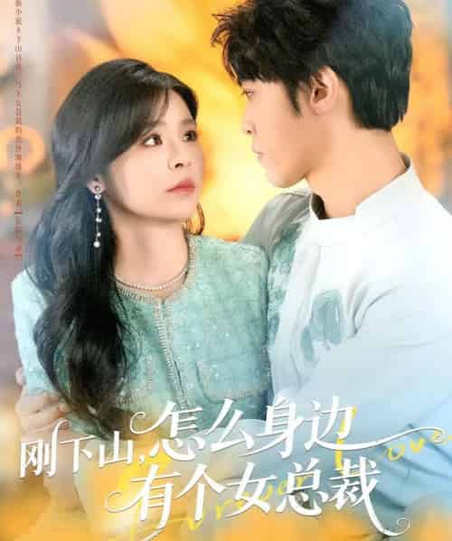 刚下山，怎么身边有个女总裁（65集全）邓诗韵＆李硕-搜外项目网