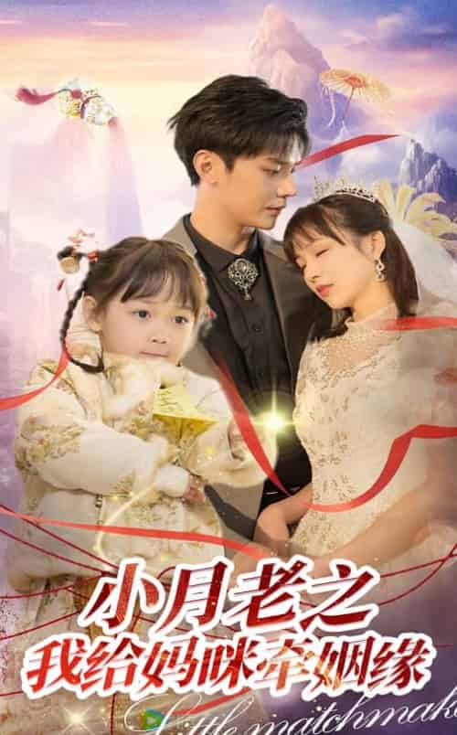 小月老之我给妈咪牵红线(60集全)卿苗&叶梓靖-搜外项目网