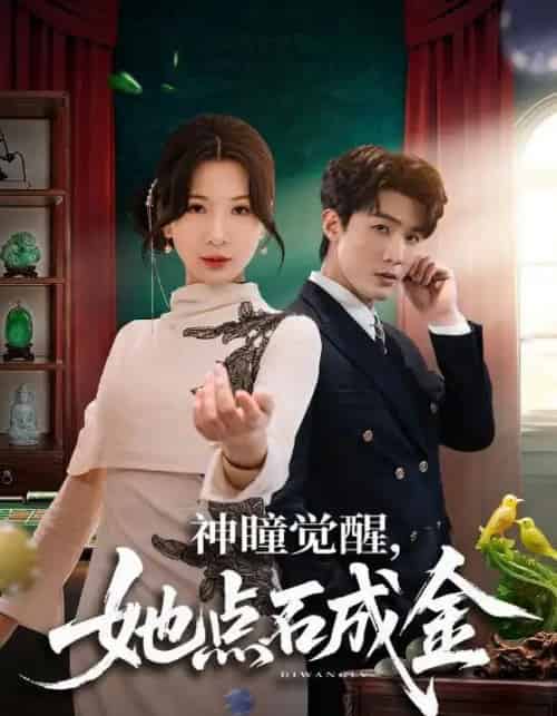 神瞳觉醒，她点石成金（70集全）清河＆杨洁-搜外项目网