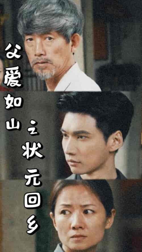 父爱如山之状元回乡(77集)袁颖-搜外项目网