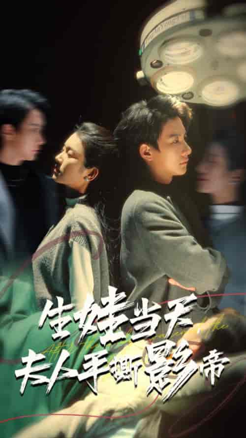 生娃当天夫人手撕影帝（62集全）卢C鹿鹿＆白羽-搜外项目网