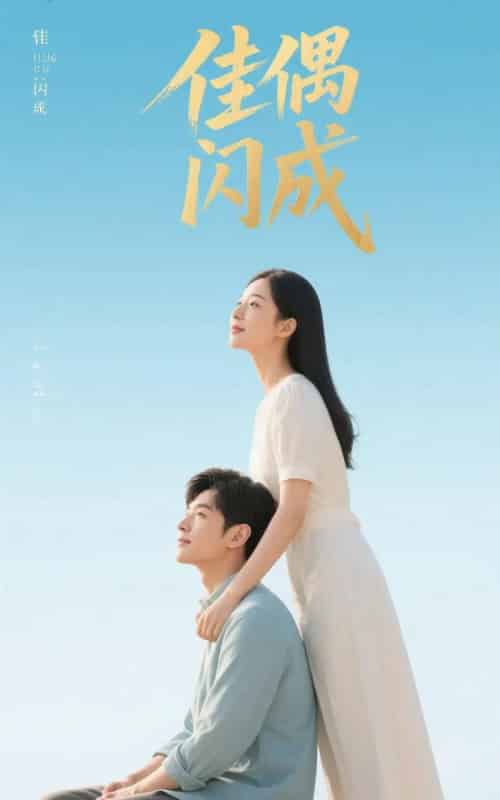 佳偶闪成＆假婚真爱（35集）-搜外项目网