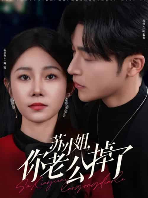 苏小姐你老公掉了（80集全）常高明＆孟嘉鑫-搜外项目网