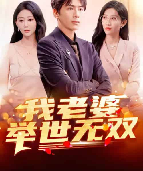 我老婆举世无双(86集全)星硕&邰靖懿&袁吉衣-搜外项目网