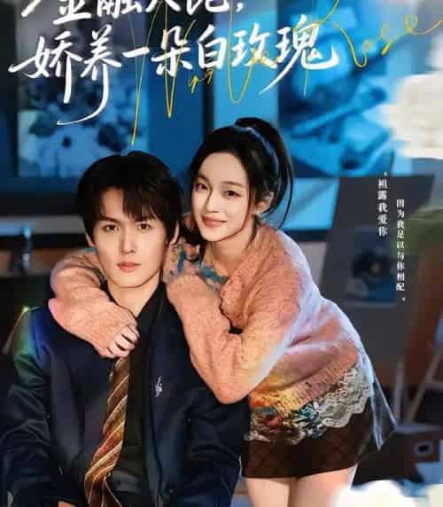 金融大佬,娇养一朵白玫瑰(70集全)董玥妤&周昊杉-搜外项目网