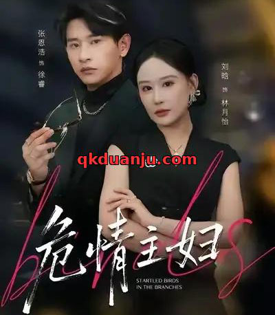 危情主妇（60集全）刘晗＆张恩浩＆邱潇-搜外项目网