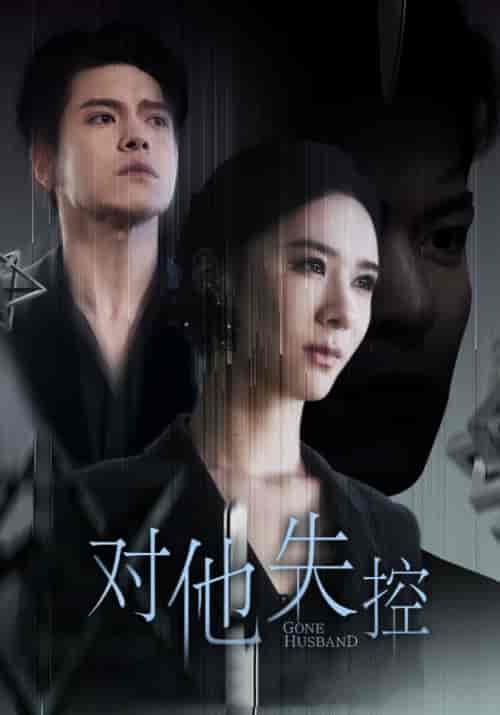 对他失控（56集全）盛晨＆张筱-搜外项目网