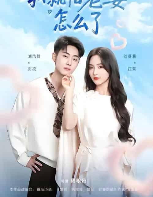 我就怕老婆怎么了（88集全）刘浩群＆刘蔓莉-搜外项目网