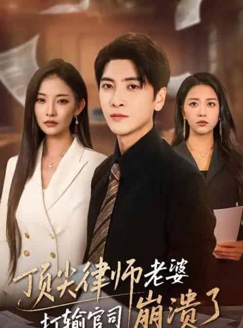 顶尖律师老婆打输官司崩溃了&爱至深处不回头(73集)童欣&刘艺潼-搜外项目网