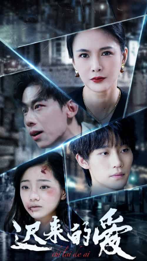 迟来的爱（63集全）王钰臻＆潘彦妃-搜外项目网