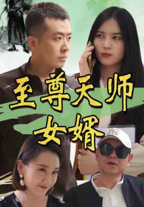 至尊天师女婿（145集全）林一龙＆程映雪-搜外项目网