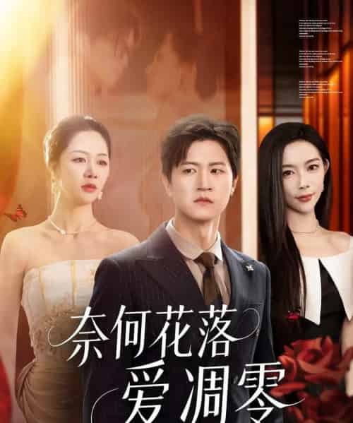 奈何花落爱凋零(71集)钟莹玲&王鹏-搜外项目网