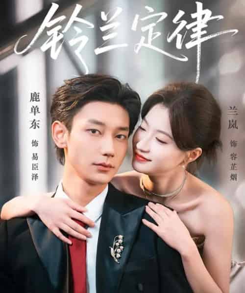 铃兰定律（79集全）鹿单东＆兰岚-搜外项目网