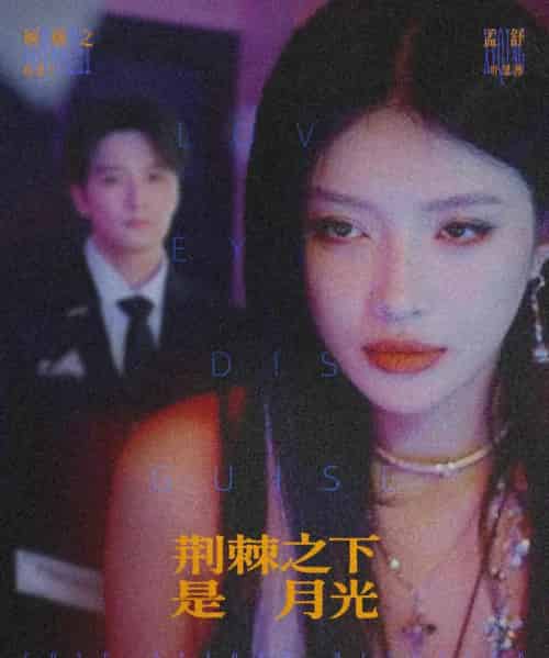 荆棘之下是月光&鸳鸯相抱何时了(66集全)陈思宇&叶思彤-搜外项目网