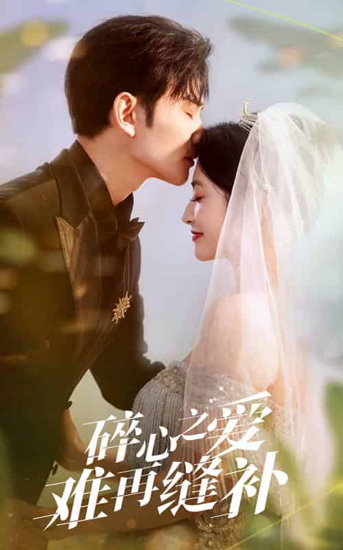 碎心之爱难再逢补(51集全)李虹艺&曹景皓-搜外项目网