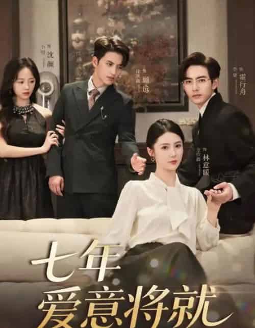 七年爱意将就（60集）徐凯鑫＆李豪＆金鑫欣＆小明-搜外项目网