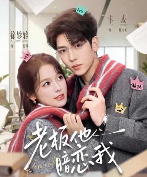 老板他暗恋我（73集全）徐轸轸＆卡戎-搜外项目网
