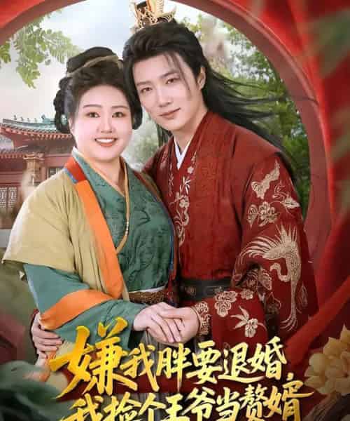 嫌我胖要退婚,我捡个王爷当赘婿(80集全)宋周玲&王嘉皓-搜外项目网