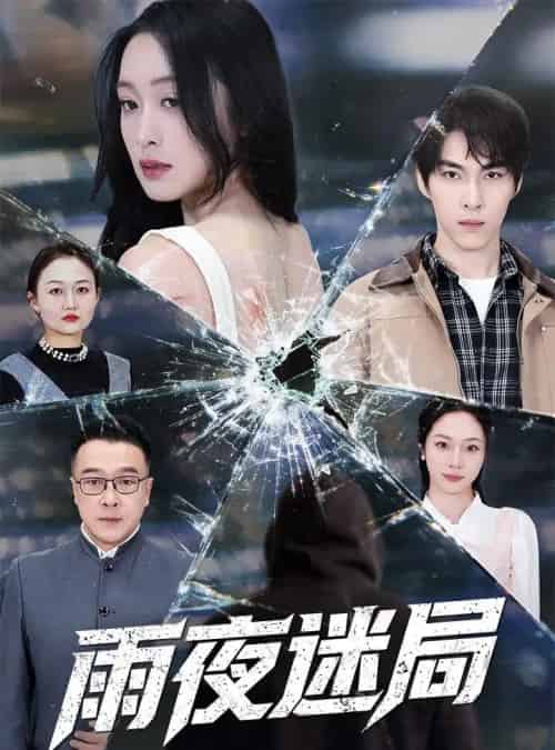 雨夜迷局&沉默的真相之雨夜原罪(52集全)张禹麟&王嘉嘉-搜外项目网