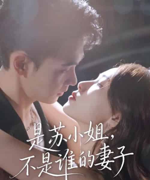 是苏小姐不是谁的妻子(39集全)郑子健&杨沫-搜外项目网