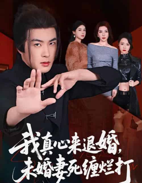 我真心来退婚,未婚妻死缠烂打(72集全)孔奇力&吴美慧-搜外项目网