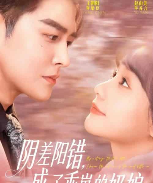 阴差阳错，成了乖崽的奶娘（69集全）王朝阳＆赵由美-搜外项目网