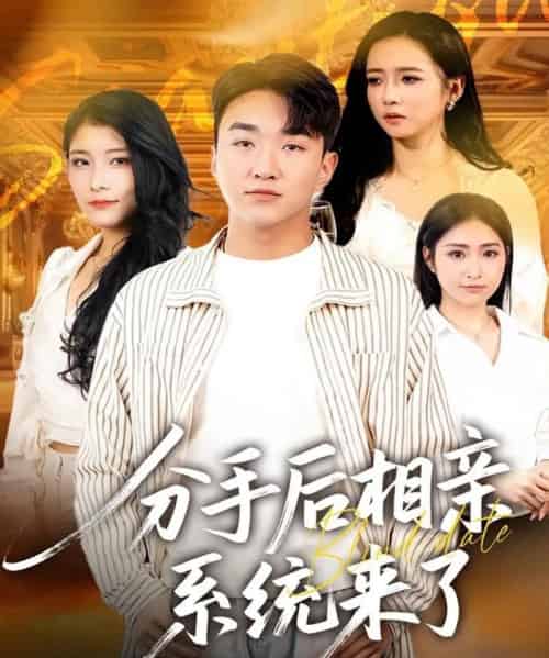 分手后相亲系统来了（81集全）张凯悦＆雷小米＆王必可-搜外项目网