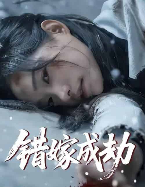 错嫁成劫(60集全)王向志&洪佳宁-搜外项目网