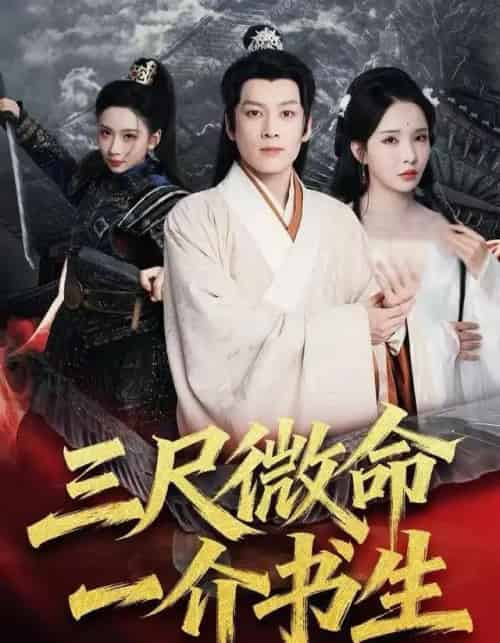 三尺微命一介书生（70集全）李若希＆黄帅帅-搜外项目网