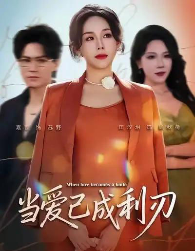 当爱已成利刃(60集全)庄汐玥&嘉言-搜外项目网